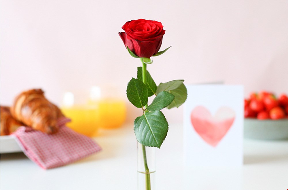 Verras je Valentijn met Bloompost Verras je Valentijn met Bloompost